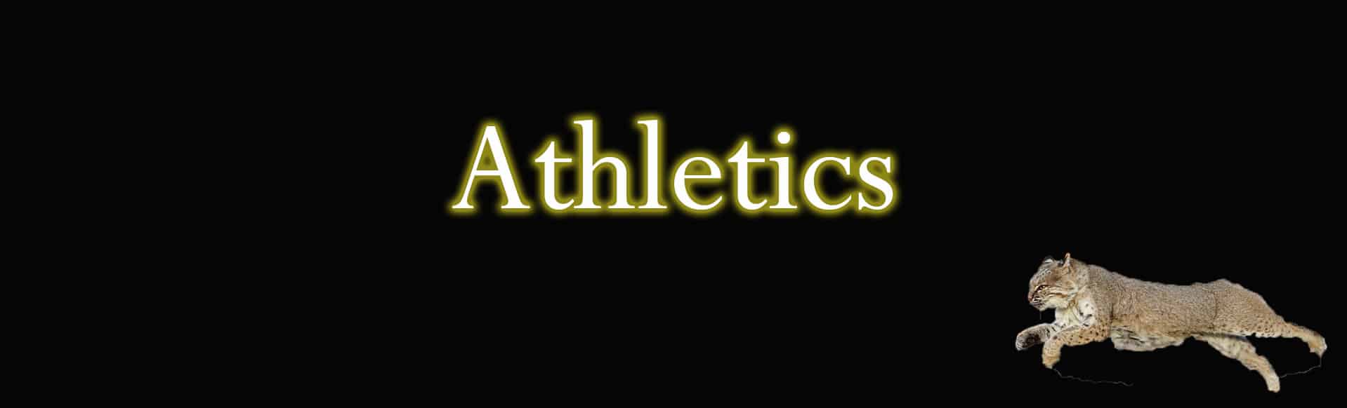 Wildcat Athletics Banner