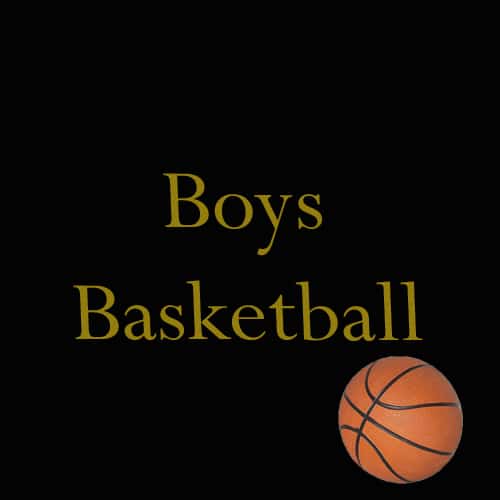Wildcat Boys Basketball Button