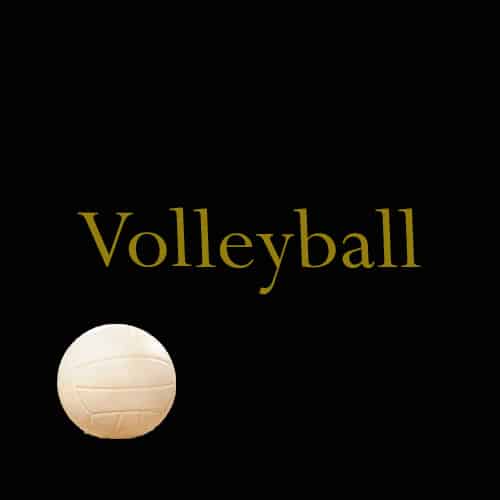 Wildcat Volleyball